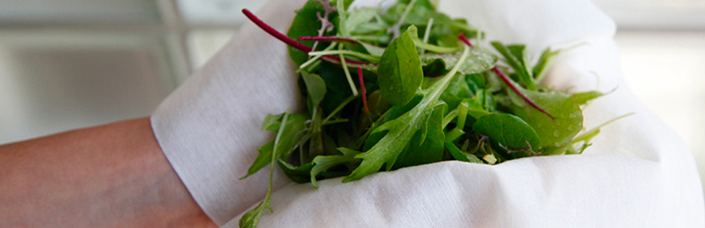 三彩(サンサイ)