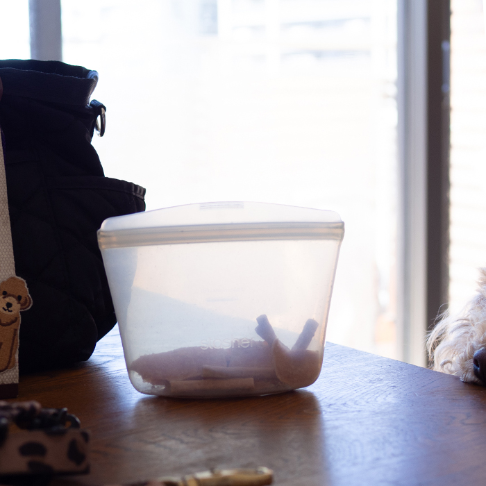 散歩の相棒！スタッシャーボウルSS