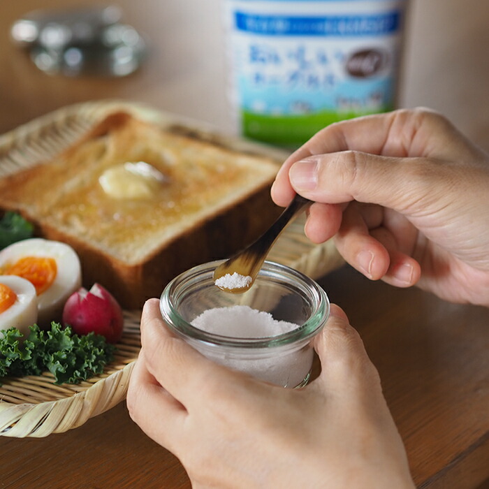 サンク　ホーンヴァレファブリッケン　カトラリー　ソルトスプーン　/　CINQ