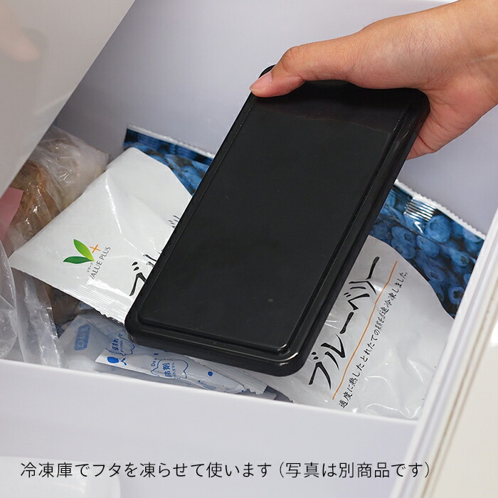 じぇるく～ま　ランチボックス　S　オス　/　GEL-COOま