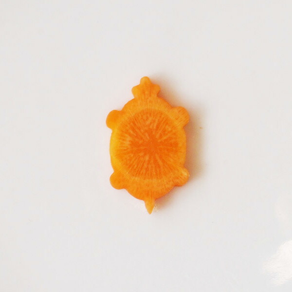 抜き型　亀　中