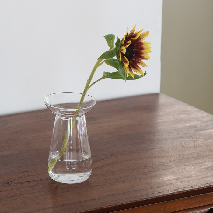 キントー　アクアカルチャーベース　80mm　クリア　/　KINTO