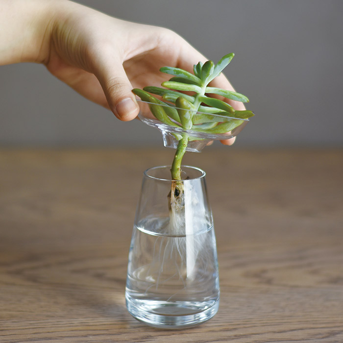 キントー　アクアカルチャーベース　80mm　クリア　/　KINTO