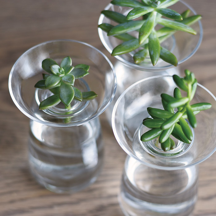 キントー　アクアカルチャーベース　80mm　クリア　/　KINTO