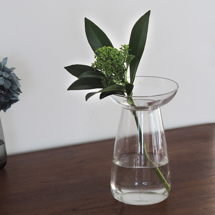 キントー　アクアカルチャーベース　120mm　クリア　/　KINTO