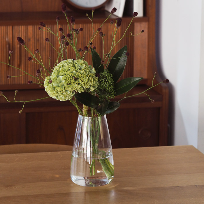 キントー　アクアカルチャーベース　120mm　クリア　/　KINTO