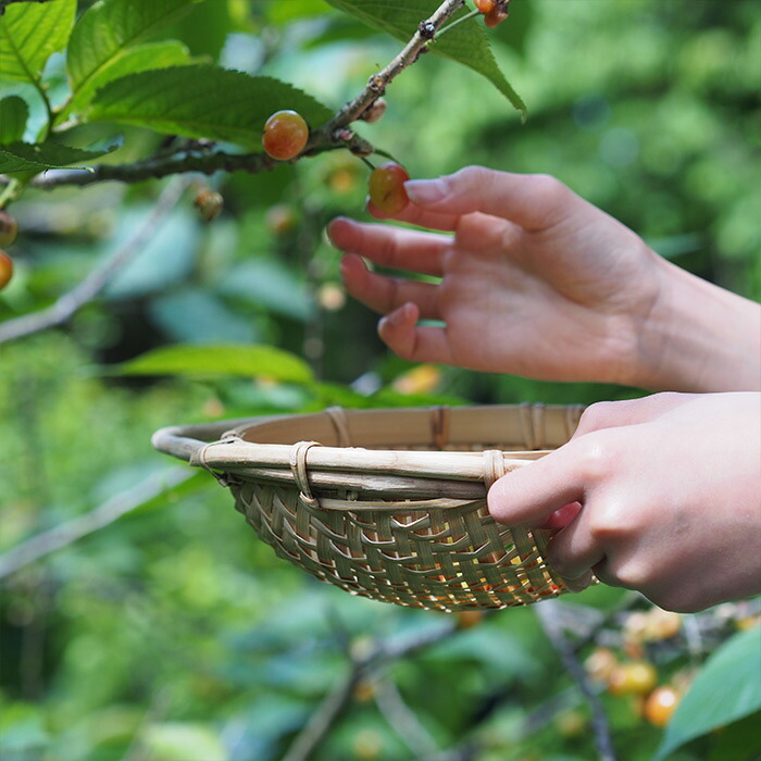 ピープルツリー　ハンドルつき竹ザル　2個セット　/　People　Tree