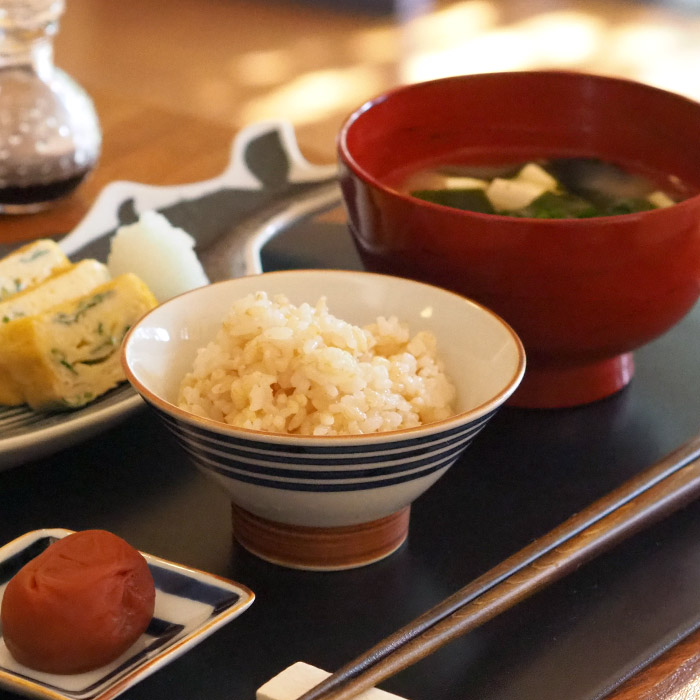 副千製陶所　濃線紋　姫碗