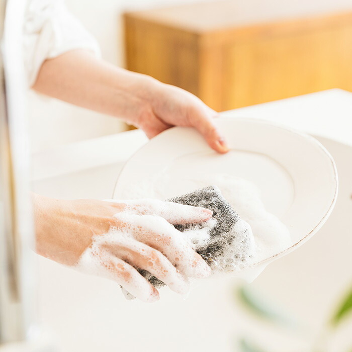 サンサンスポンジ　スプレーローズ　/　Sunsun　Sponge