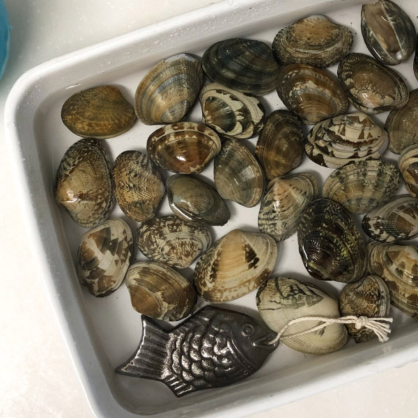 鳥部製作所　鉄の健康鯛