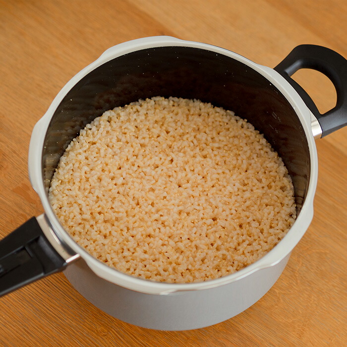 ヴェーエムエフ　フュージョンテック　ミネラル　圧力鍋　4.5L　プラチナム　/　WMF